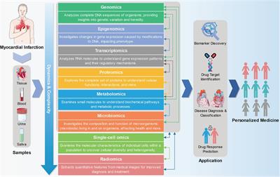 From multi-omics approaches to personalized medicine in myocardial infarction